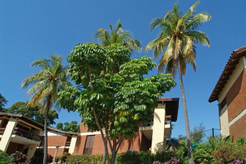 Versalles Hotel Santiago de Cuba Exterior photo